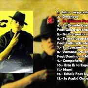 Der musikalische text DESAHOGO von VICO C ist auch in dem Album vorhanden Desahogo (2005)