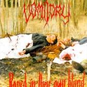 Der musikalische text INTO WINTER THROUGH SORROW von VOMITORY ist auch in dem Album vorhanden Raped in their own blood (1996)