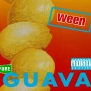 Der musikalische text TOUCH MY TOOTER von WEEN ist auch in dem Album vorhanden Pure guava (1992)