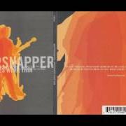 Der musikalische text I WAS ONLY DREAMING... von WHIPPERSNAPPER ist auch in dem Album vorhanden Appearances wear thin (2002)