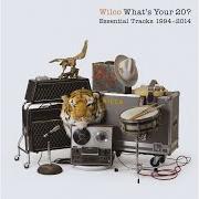 Der musikalische text I MIGHT von WILCO ist auch in dem Album vorhanden What's your 20? essential tracks (2014)