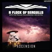 Der musikalische text SPACE AGE LOVE SONG von A FLOCK OF SEAGULLS ist auch in dem Album vorhanden Ascension (2018)