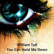 Der musikalische text FAIRFAX (YOU'RE STILL THE SAME) von WILLIAM TELL ist auch in dem Album vorhanden You can hold me down (2007)