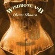 Der musikalische text HARD TIMES von WISHBONE ASH ist auch in dem Album vorhanden Bare bones (1999)
