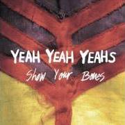 Der musikalische text MYSTERIES von YEAH YEAH YEAHS ist auch in dem Album vorhanden Show your bones (2006)