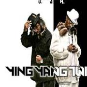 Der musikalische text THEM BRAVES von YING YANG TWINS ist auch in dem Album vorhanden Me & my brother (2003)