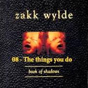 Der musikalische text TOO NUMB TO CRY von ZAKK WYLDE ist auch in dem Album vorhanden Book of shadows (1996)