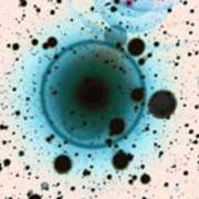 Der musikalische text RED, BLUE AND GREEN von ZERO 7 ist auch in dem Album vorhanden Simple science (2014)
