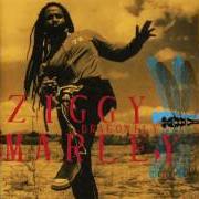 Der musikalische text GOOD OLD DAYS von ZIGGY MARLEY ist auch in dem Album vorhanden Dragonfly (2003)