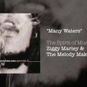 Der musikalische text BEAUTIFUL DAY von ZIGGY MARLEY ist auch in dem Album vorhanden Spirit of music (1999)