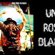 Der musikalische text X COLPA DI CHI? von ZUCCHERO ist auch in dem Album vorhanden Una rosa blanca (2013)