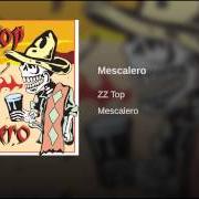 Der musikalische text ALLEY GATOR von ZZ TOP ist auch in dem Album vorhanden Mescalero (2003)