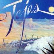 Der musikalische text PAN AM HIGHWAY BLUES von ZZ TOP ist auch in dem Album vorhanden Tejas (1976)