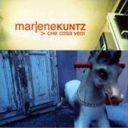 Der musikalische text CANZONE DI OGGI von MARLENE KUNTZ ist auch in dem Album vorhanden Che cosa vedi (2000)