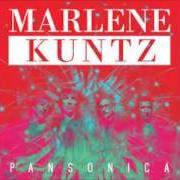 Der musikalische text OBLIO von MARLENE KUNTZ ist auch in dem Album vorhanden Pansonica (2014)