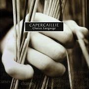 Der musikalische text LITTLE DO THEY KNOW von CAPERCAILLIE ist auch in dem Album vorhanden Choice language