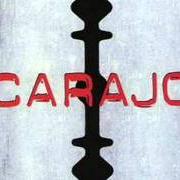 Der musikalische text BICHO DE CIUDAD von CARAJO ist auch in dem Album vorhanden Atrapasueños (2004)