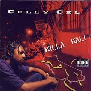 Der musikalische text REMEMBER WHERE U CAME FROM von CELLY CEL ist auch in dem Album vorhanden Killa kali (1996)