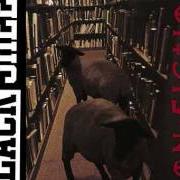 Der musikalische text CITY LIGHTS von BLACK SHEEP ist auch in dem Album vorhanden Non-fiction (1994)