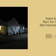 Der musikalische text ALICE HYATT von DAMIEN JURADO ist auch in dem Album vorhanden What's new, tomboy? (2020)