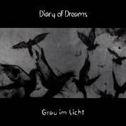 Der musikalische text THE HUNTED von DIARY OF DREAMS ist auch in dem Album vorhanden Grau im licht (2015)