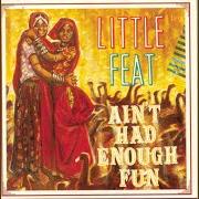 Der musikalische text CAJUN RAGE von LITTLE FEAT ist auch in dem Album vorhanden Ain't had enough fun (1995)