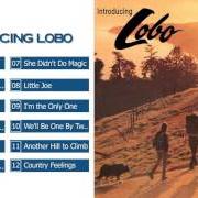 Der musikalische text COUNTRY FEELINGS von LOBO ist auch in dem Album vorhanden Introducing lobo