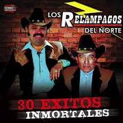Der musikalische text AMIGO von LOS CADETES DE LINARES ist auch in dem Album vorhanden Las más canonas (2006)