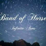 Der musikalische text EVENING KITCHEN von BAND OF HORSES ist auch in dem Album vorhanden Infinite arms (2010)