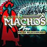 Der musikalische text LOS CALZONES DE LA DAMA von BANDA MACHOS ist auch in dem Album vorhanden Estas seleccionada (2009)