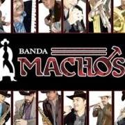 Der musikalische text ATAQUES DE ANSIEDAD von BANDA MACHOS ist auch in dem Album vorhanden Si volviera a nacer (2013)