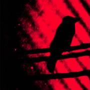 Der musikalische text THIS GENTLE HEARTS LIKE SHOT BIRDS FALLEN von A SILVER MT. ZION ist auch in dem Album vorhanden Born into trouble as the sparks fly upward (2001)