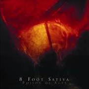 Der musikalische text PIRATES & CAPITALISTS von 8 FOOT SATIVA ist auch in dem Album vorhanden Poison of ages (2007)