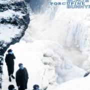 Der musikalische text RIPENESS von ECHO AND THE BUNNYMEN ist auch in dem Album vorhanden Porcupine (1983)