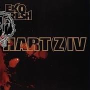 Der musikalische text DAS IST MEIN VIERTEL von EKO FRESH ist auch in dem Album vorhanden Hart(z) iv (2006)