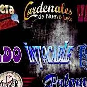 Der musikalische text VEN A DARME AMOR von EL PODER DEL NORTE ist auch in dem Album vorhanden Cumbias con poder (2003)