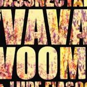 Der musikalische text NOTHING HAS BEEN BROKEN von BASSNECTAR ist auch in dem Album vorhanden Vava voom (2012)