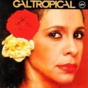 Der musikalische text MEU NOME É GAL von GAL COSTA ist auch in dem Album vorhanden Gal tropical (1979)