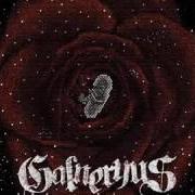 Der musikalische text OWARI NAKI, KONOSHI von GALNERYUS ist auch in dem Album vorhanden Reincarnation (2008)