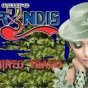 Der musikalische text MARCHATE von GRUPO BRYNDIS ist auch in dem Album vorhanden El quinto trago (2004)
