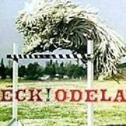 Der musikalische text DISKOBOX von BECK ist auch in dem Album vorhanden Odelay (1996)