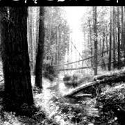 Der musikalische text MOONSPELL RITES von BEHEMOTH ist auch in dem Album vorhanden And the forests dream eternally - ep (1994)