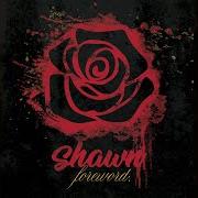 Der musikalische text COME WIT ME von SHAWN STOCKMAN ist auch in dem Album vorhanden Foreword (2020)