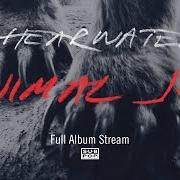 Der musikalische text IMMACULATE von SHEARWATER ist auch in dem Album vorhanden Animal joy (2012)