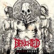 Der musikalische text VERSIPELLIS von BENIGHTED ist auch in dem Album vorhanden Necrobreed (2017)