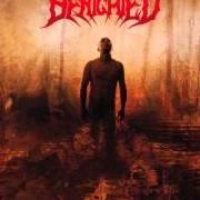 Der musikalische text HUMAN CIRCLES von BENIGHTED ist auch in dem Album vorhanden Icon (2007)
