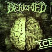 Der musikalische text PHLEBOTOMIZED von BENIGHTED ist auch in dem Album vorhanden Icp - insane cephalic production (2004)