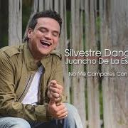 Der musikalische text LA COSITA von SILVESTRE DANGOND ist auch in dem Album vorhanden No me compares con nadie (2011)