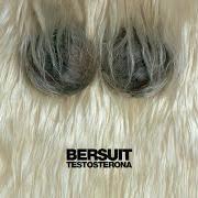 Der musikalische text ME DUELE FESTEJAR von BERSUIT VERGARABAT ist auch in dem Album vorhanden Testosterona (2005)