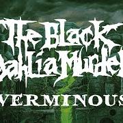 Der musikalische text A WOMB IN DARK CHRYSALIS (INTERLUDE) von THE BLACK DAHLIA MURDER ist auch in dem Album vorhanden Verminous (2020)